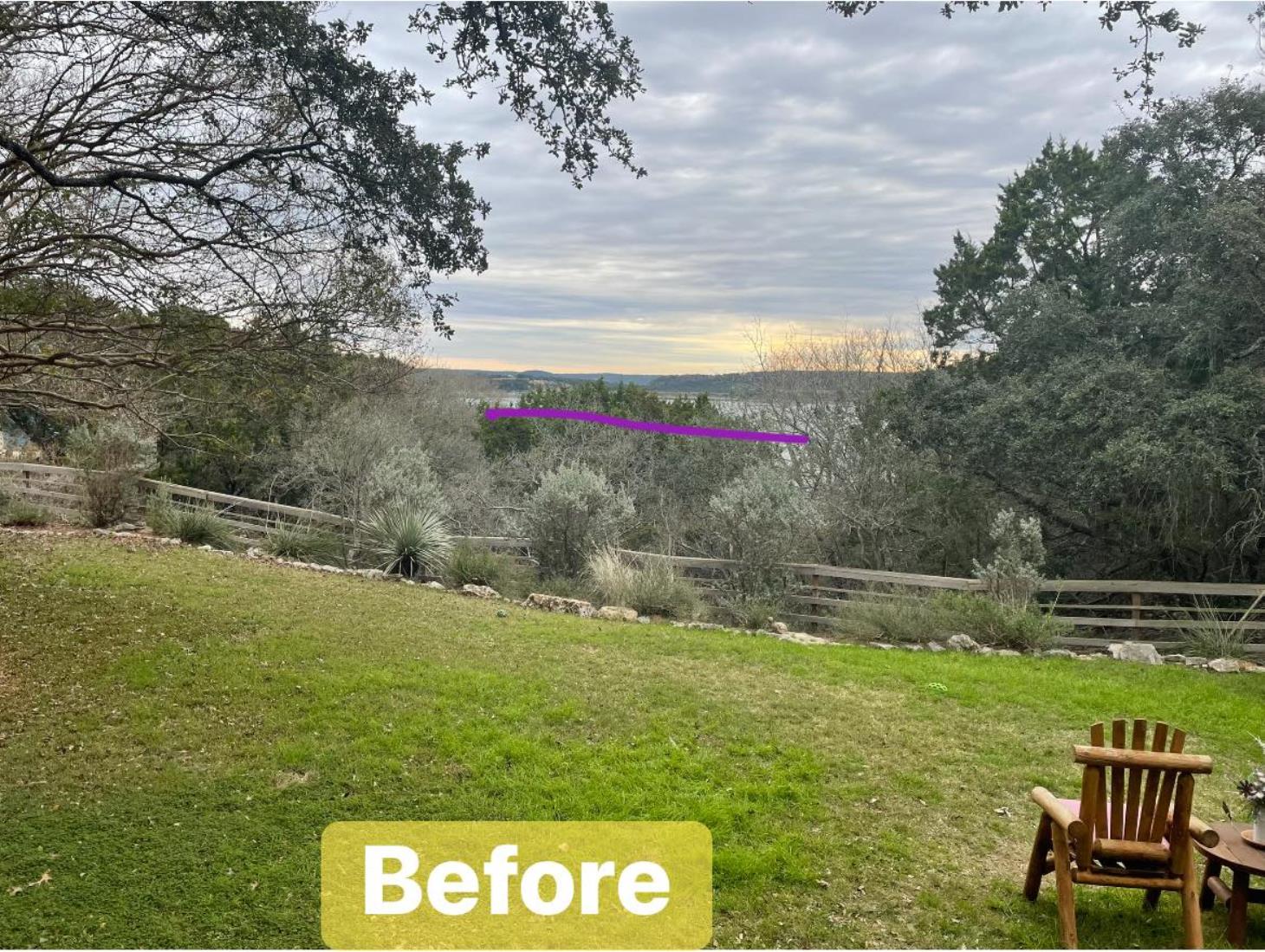 Total Tree Maintenance, LLC: Service Image-1 Total Tree Maintenance, LLC: Service Image-1