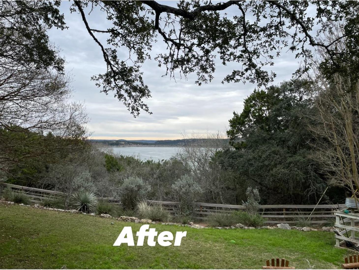 Total Tree Maintenance, LLC: Service Image-2 Total Tree Maintenance, LLC: Service Image-2